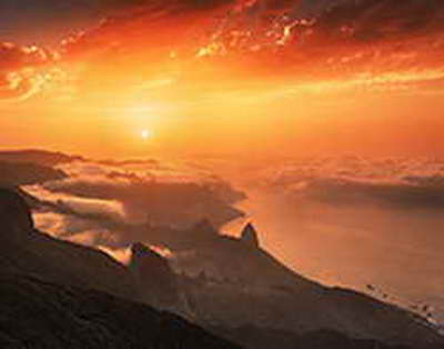 Қазақстанда 1,6 млрд ағаш отырғызылды: Бектенов жаңа міндеттерді атады