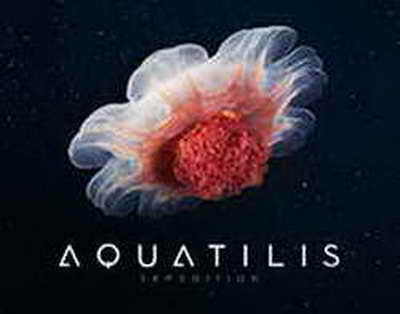 Prezident Rasim Balayevin vəfatı ilə bağlı nekroloq imzaladı