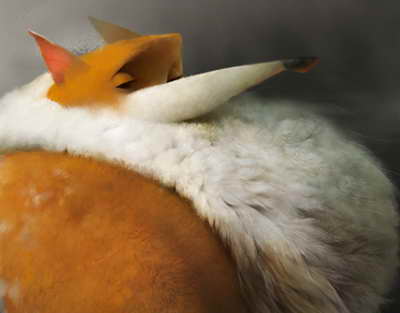 Сал болып қалған 25 жастағы қыз дәрігер көмегі арқылы өмірмен қоштасты